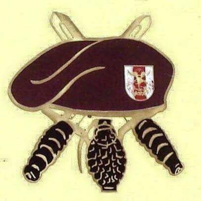 Gocca Yörük's profile picture