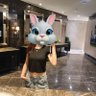 🐰| dicari motivasi untuk skripsian 的头像