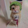 ZORO's profile picture