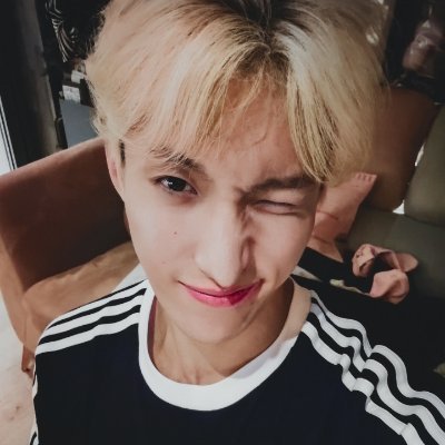 el | nabideul 🦋's profile picture