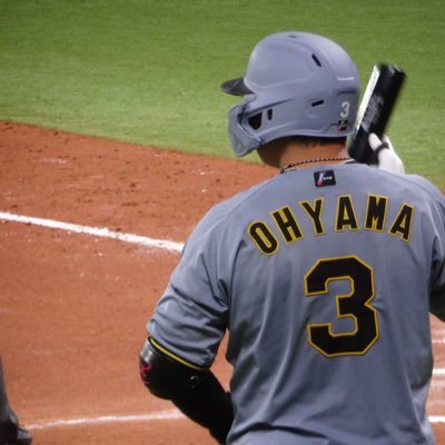 くぼみの野球🐯's profile picture
