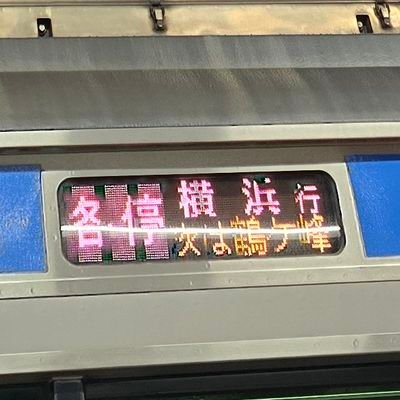 sasayuki11's profile picture
