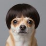 大西勇気's profile picture