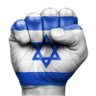 Israel’s Victory's profile picture