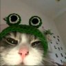 Profilbild von 𓅿ɴ𝕖𝓃𝒆⟡🪄🐰🎀 ♡ ⑅ 𓈒יִ🪽