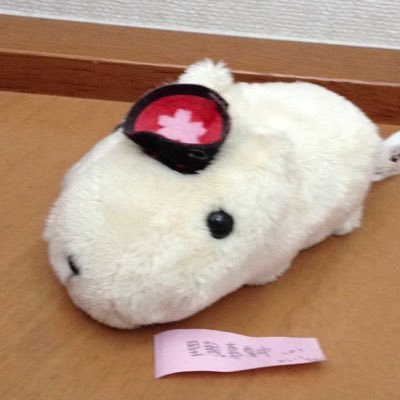 pabo..'s profile picture
