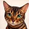 AL 🐱 Cat profil fotoğrafı
