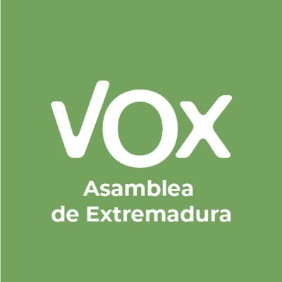 VOX Extremadura's profile picture