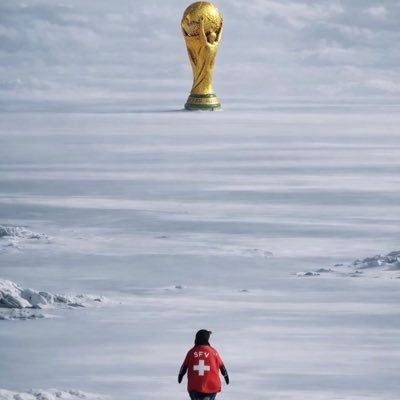 Okaformidable 🇨🇭's profile picture