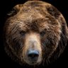Profilbild von Bearrol