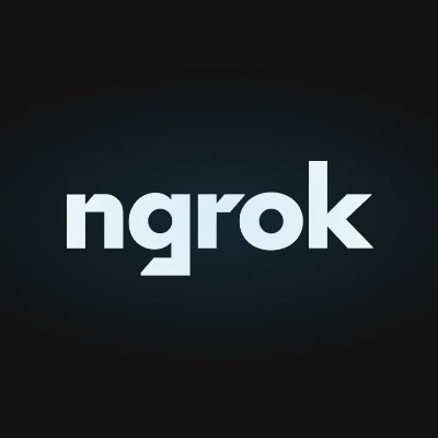ngrok's profile picture