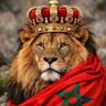 arabian panther's profile picture
