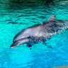 シュバラ profil fotoğrafı
