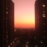 Tangni 的头像
