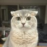 Boo's profile picture