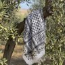 Фото профиля عبدالرحمن عوبد