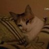懒懒懒 profil fotoğrafı
