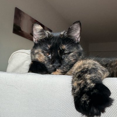 sanstando's profile picture