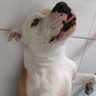 Profilbild von snowwy