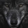 Juan Carlos Real's profile picture