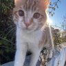 deruniden profil fotoğrafı