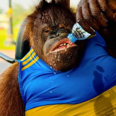 Eze's profile picture