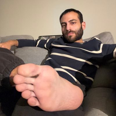 domforpigs's profile picture