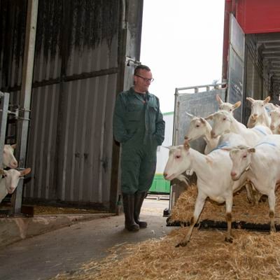 🌾🚜🌽🇳🇱Patrick V.Rijn🇳🇱🐐🐄🐖's profile picture