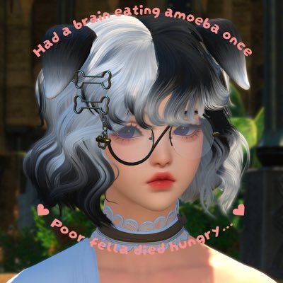 🐾 Silly Dog 🦴's profile picture