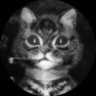 Profilbild von Ars Lycorys