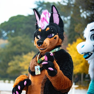 BropixWuff's profile picture