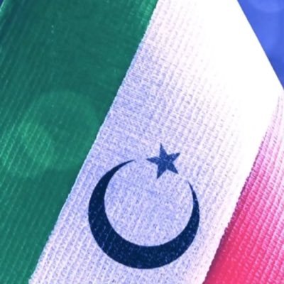 عمـر الـسـلـيمي's profile picture
