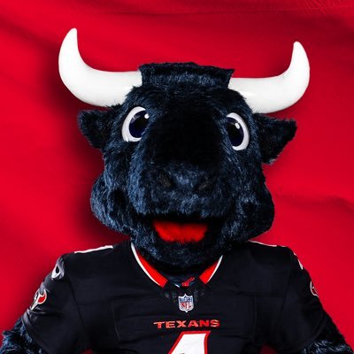 TORO 🐃's profile picture