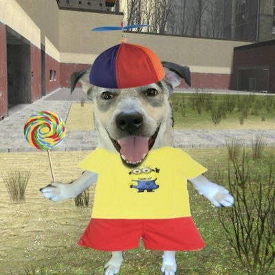 CupOfAdelaide's profile picture