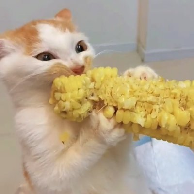 techzztft's profile picture