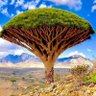 Фото профиля طارق الحربي