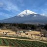 ヒペリカム 的头像