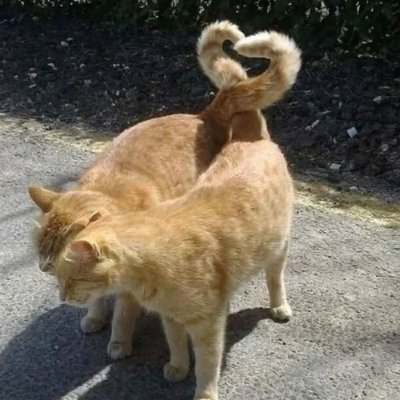 Diuuxu's profile picture
