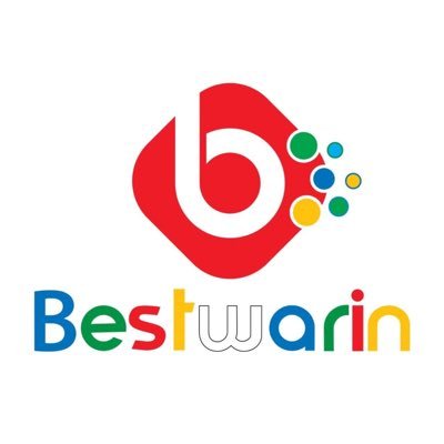 BestwarinForYou's profile picture