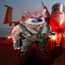 Фото профиля ʎʞsɹndsǝuoq ʌousɐɹʞ