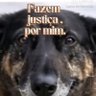 Фото профиля MeridaGuerreiradeLuz