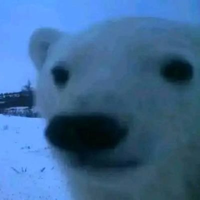 saskehnartoh68's profile picture