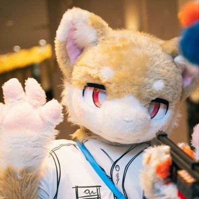 菠萝包包包's profile picture