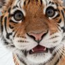 阴风四起 profil fotoğrafı