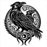 raven 的头像