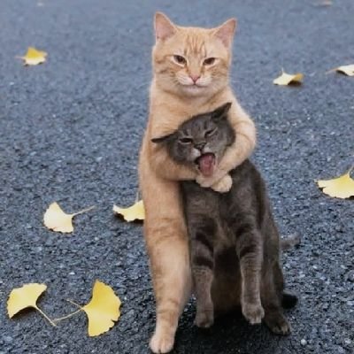 rinata18819313's profile picture