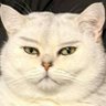 Profilbild von 益达
