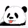 熊猫老师's profile picture