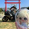 しおん🍓🍨's profile picture