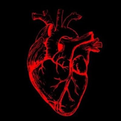 Bio Hack 🫀's profile picture
